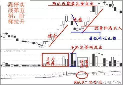 超级裂空座为何被ban？2026年环境实战配招与强度全解析