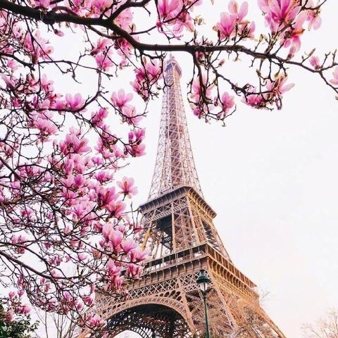 樱花大战3攻略，巴黎华击团全角色好感度MAX+隐藏CG解锁终极指南