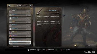 仁王PC版2026终极优化指南，画质MOD+性能调校实战解析