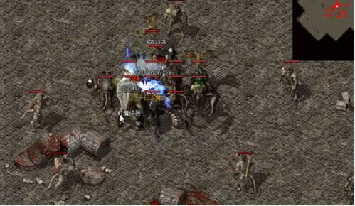 狼王传奇职业选择迷茫？2026新版狼族觉醒路线全解析