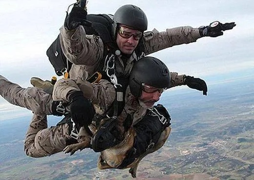 战地3跳伞还摔死？2026最新跳伞类型全解析与落地成盒急救方案