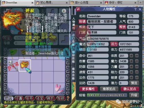 梦幻西游老王直播全攻略，2026最新炼妖打书装备鉴定实战技巧大揭秘