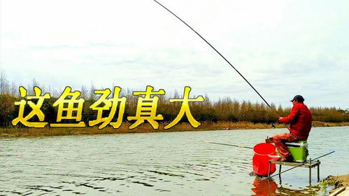 新挑战钓鱼类型怎么破？3月最新数据验证的高效钓法攻略