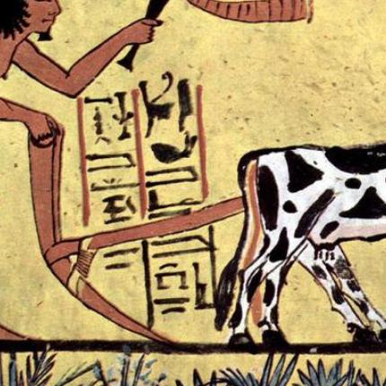 网通传奇新服开荒生死局，从建号到霸服的72小时黄金法则