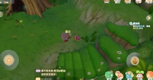 摩尔庄园红色浆果在哪刷？2026年全地图高效采集路线与隐藏机制大揭秘