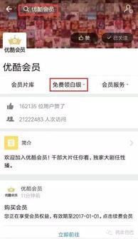 海涛优酷空间终极导航，从入门到精通的完整路径