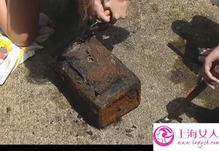 男子意外获藏宝图挖出天价宝贝？2026最新寻宝法律红线与实战鉴定指南