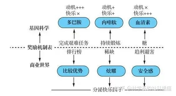 密传类型的底层逻辑，不是选择，而是构建