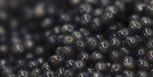 从鱼卵到黑金，鱼子酱怎么做才能媲美俄罗斯顶级货？2026实战解析