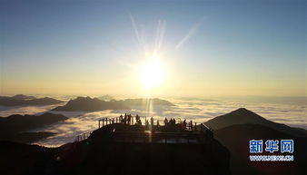 showtooltip 旭日东升踢