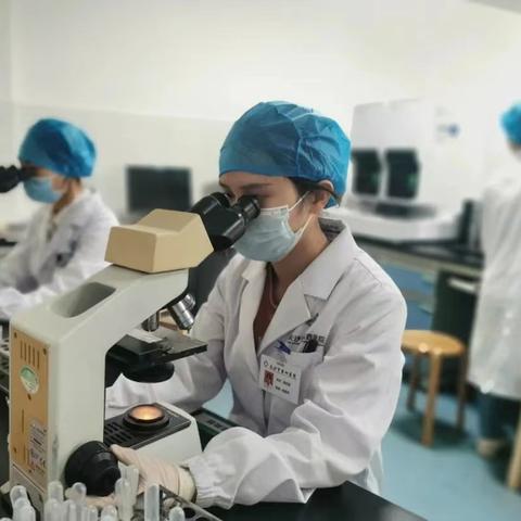 恐龙时代2怎么快速解锁顶级恐龙？实战派玩家深度拆解基因序列与资源循环的隐藏逻辑