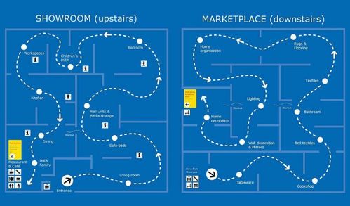 少林二内双路线基因图谱，你练的可能是假二内
