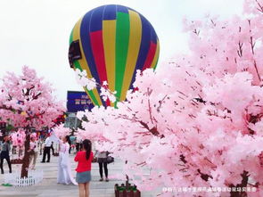 春日气球节3小时全收集，2026樱花季气球刷新机制与速通路线大揭秘