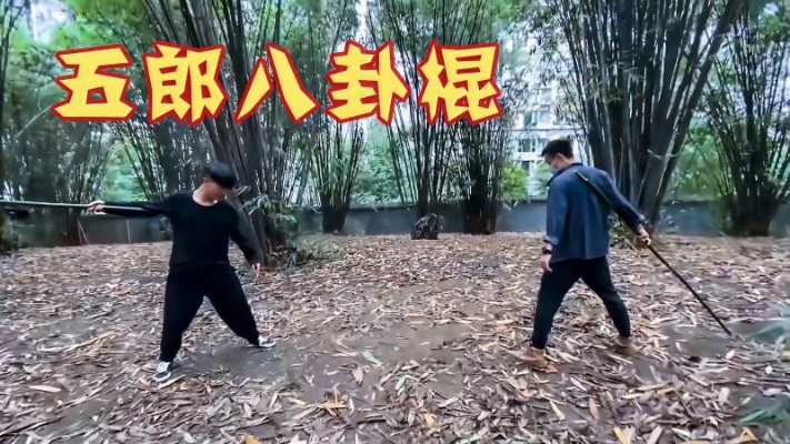 2026九阴真经五郎八卦棍视频全攻略，新版连招机制与实战登顶技巧深度拆解