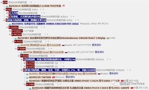 不古篇8类型全解密，2026年3月最新实战数据与通关策略大公开