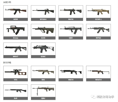 2026年FPS枪械类型终极解码，从弹道物理到职业赛场选枪逻辑的完全指南
