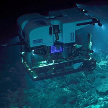 拯救外星人洞穴类型怎么过？2026年最新速通策略与陷阱规避指南