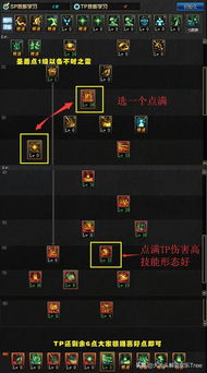 女圣骑士加点终极指南，2026版本3大流派实测数据与版本答案