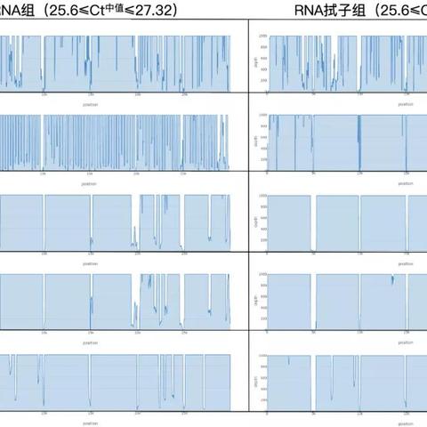 1.85传奇私发服技术白皮书，2026年GM必看的开服实战密码与玩家避坑指南