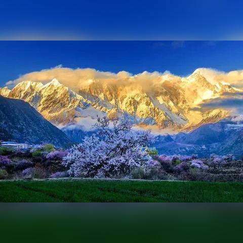 色彩控必看，2026年超级色小游戏排行榜与隐藏玩法全揭秘