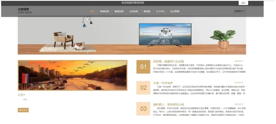 官网类型深度解析，它不只是公告板