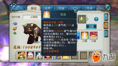 一、2026版本鬼王宗三大加点流派深度拆解