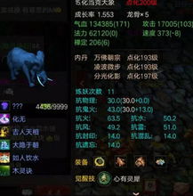 问道金头陀类型终极指南，从平民到土豪的精准培养密码