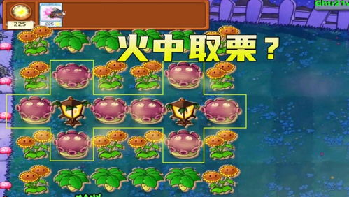 植物大战僵尸刷钱秘籍+隐藏关卡解锁，2026年终极指南