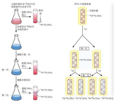 一、第七期对局DNA，为什么这局无法复制