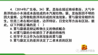 一、版本核心变动与出装哲学