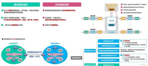 LIPS系统黑箱操作，隐藏机制与反直觉选择