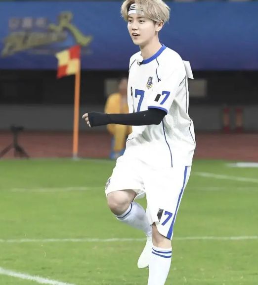 范志毅称鹿晗内娱踢球最佳？2026明星足球实力深度测评与跨界认证标准