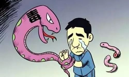 一男一女在房间里打扑克到底是什么梗？2026年最新网络黑话解码与实战应用指南