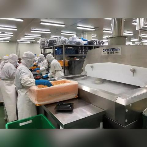 被误解的半成品，游戏类型与核心痛点