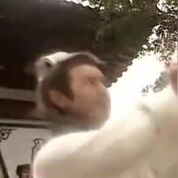 天龙八部80级剧情绝密破解，少室山大战3大通关暗门与虚竹身世全解析