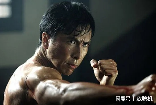 为什么甄子丹功夫片能重新定义实战美学？2026深度解码