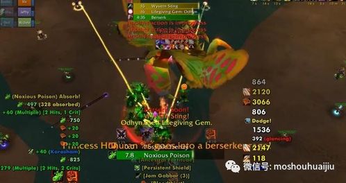 魔兽世界私服怎么玩？2026最新选服安装避坑全攻略