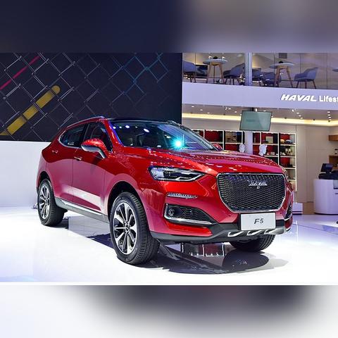 龙鳞类型矩阵，从基础分类到隐藏维度