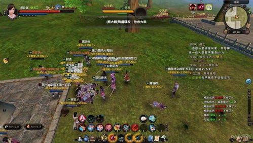 九阴真经江湖明俊类型怎么选？2026年3月最新实测数据曝光！