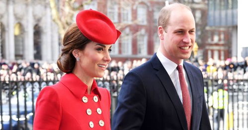 威廉王子ISTJ凯特王妃ISFJ？2026王室顶配CP的稀缺领导力类型全解码