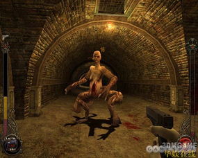 2026贫民窟犯罪游戏终极指南，5款上帝之城神作+画质暴力美学调校秘籍