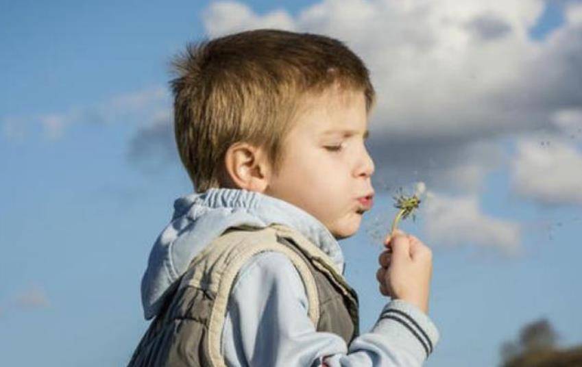 刘德华真的有女儿吗？2026年独家家庭内幕与隐私保护深度解析