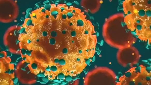 任务贼为何再度变异？2026环境颠覆者实战完全指南