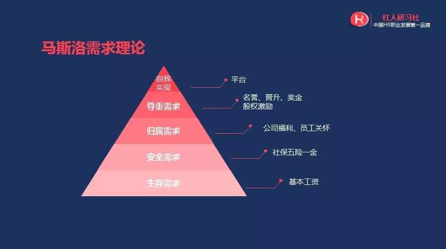 司云崖类型终极解析，2026年必学攻略与实战技巧揭秘
