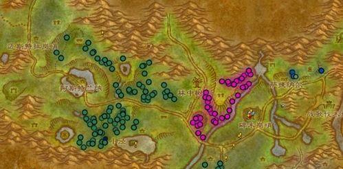 魔兽世界采药终极指南，2026年最值钱草药与高效采集路线揭秘