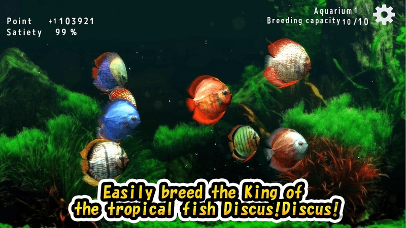 水族馆游戏为何引爆养鱼狂热？掌握这7个核心玩法彻底告别翻缸噩梦！
