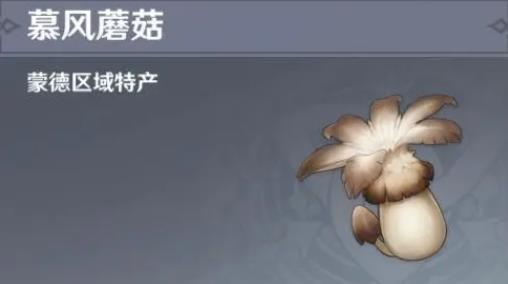 愚人菇类型大揭秘，2026玩家必备的采集策略与深度解析