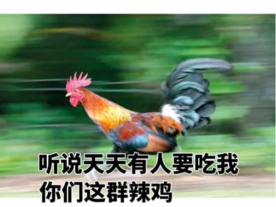 生存肉鸽+开放世界+模拟经营？2026玩家最渴望的缝合新爆点！