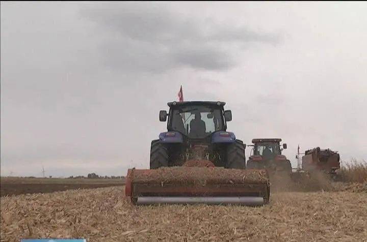 2026年顶级剥皮地窖揭秘，如何高效收割皮革资源成游戏赢家？