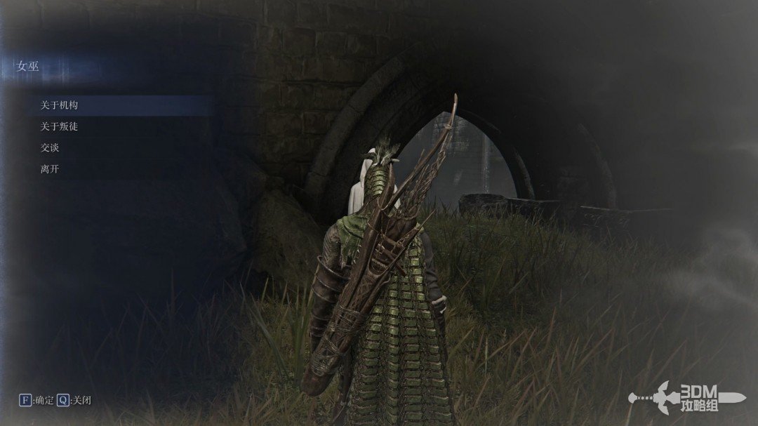 《艾尔登法环黑夜君临》学者野排攻略：深度解析学者玩法新策略